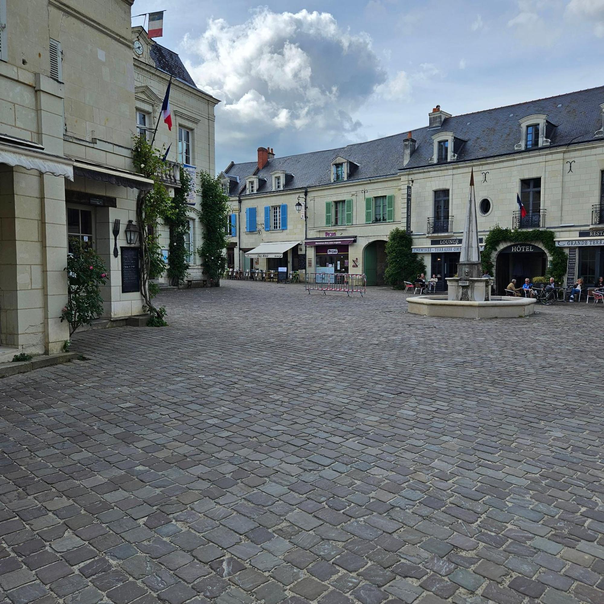 Gite Le Montinho Fontevraud-l'Abbaye Eksteriør billede
